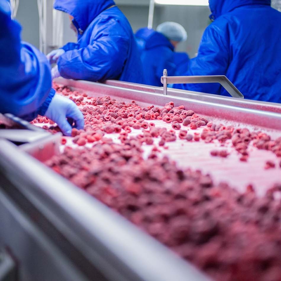 Обробка свіжих фруктів PREMIUM FRUITS